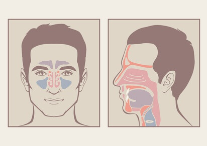 Having Breathing Problems Because of a Deviated Nasal Septum? - Houston  Advanced Sinus